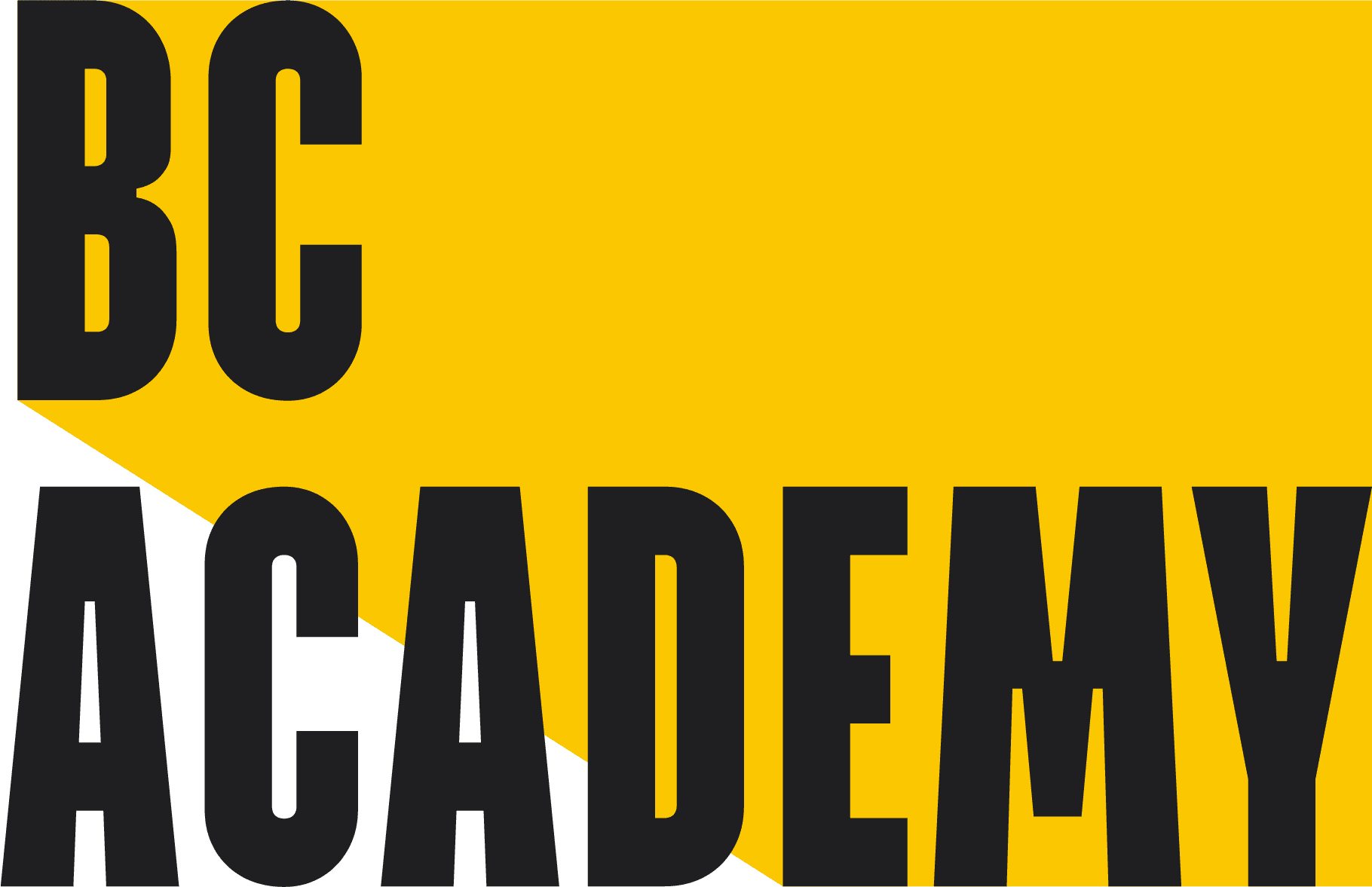 BC Academy International School logo