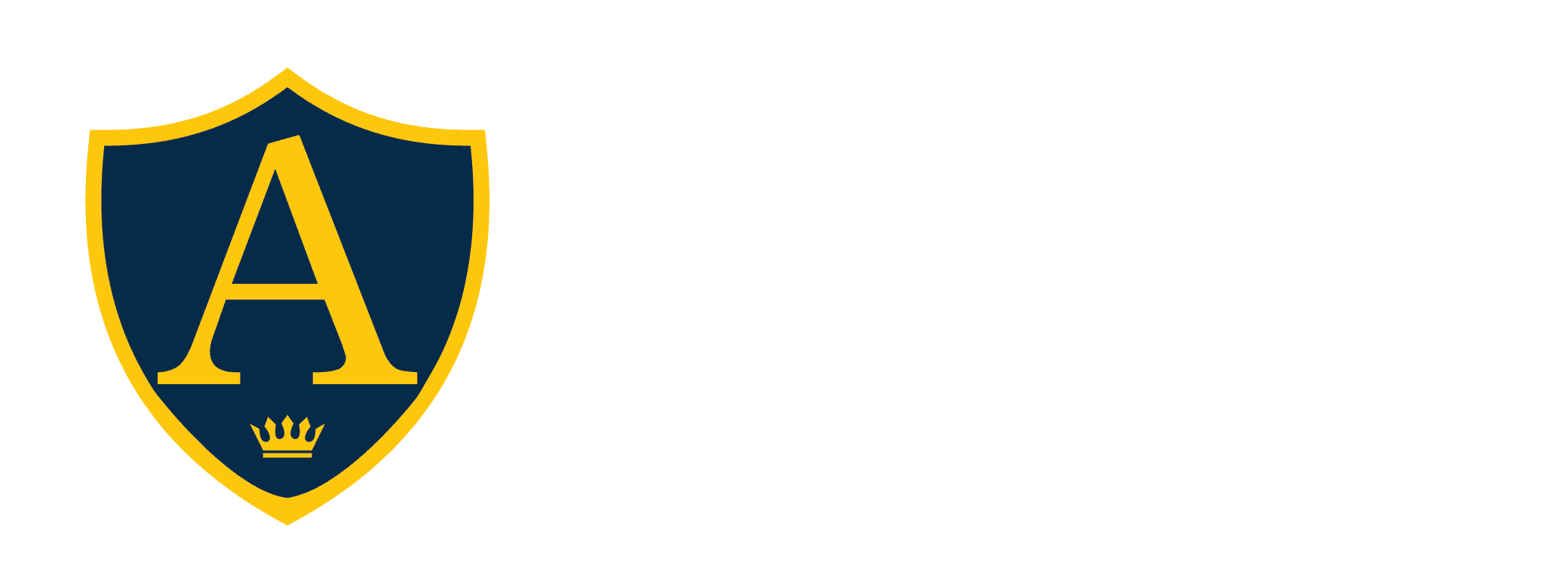 Amity English School Dubai logo